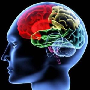 Reprograming-the-addictive-brain