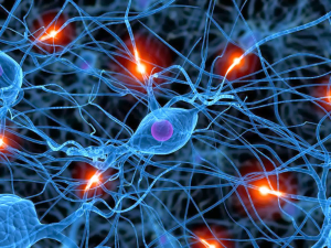 neurons-human-brain-cells-under-a-microscope-pattern